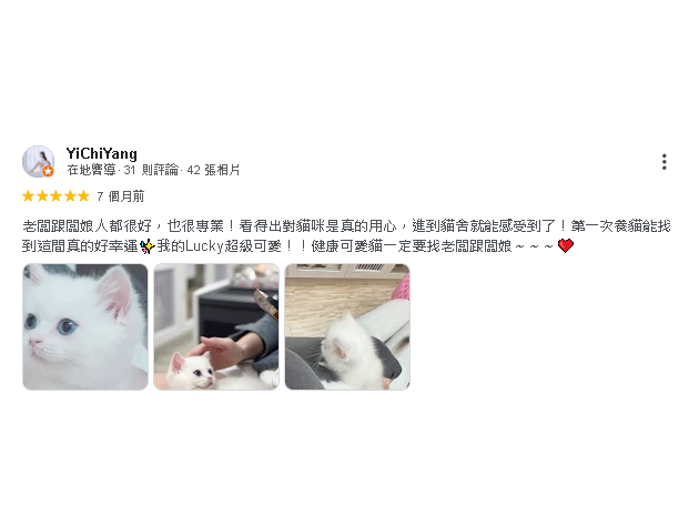 顧客Google五星超真實評價