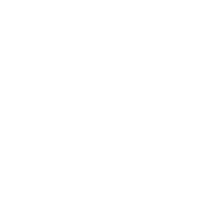 政府登記特寵業繁字第 G1070127