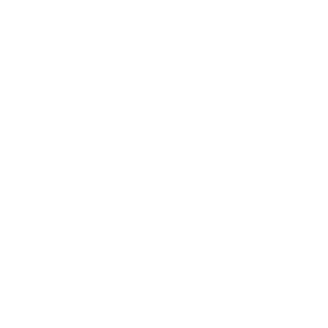 提供適當的照顧和醫療